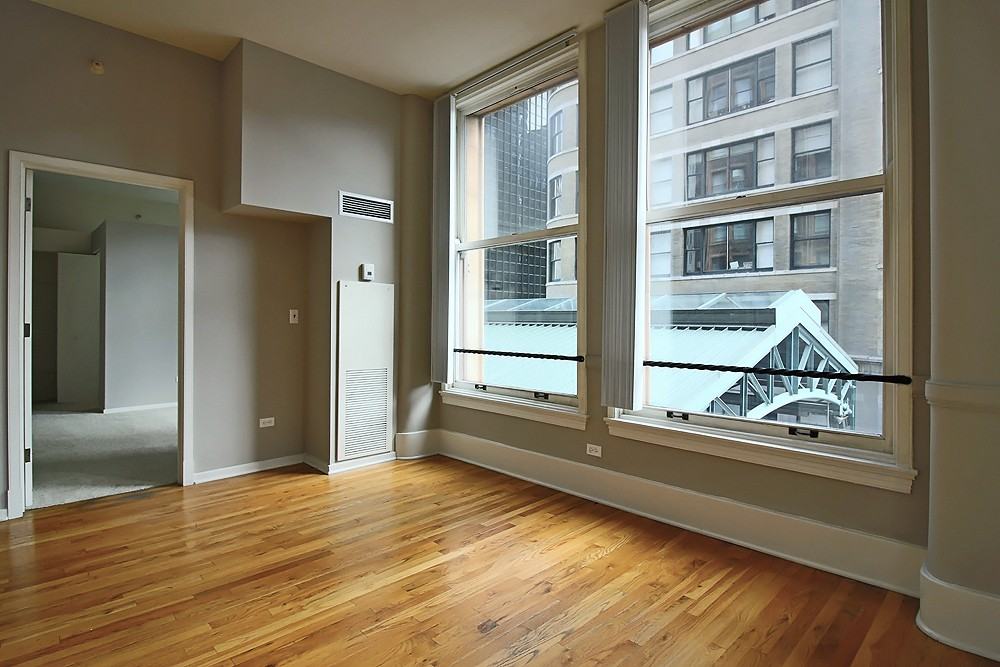 343 S Dearborn St #2-2-5 - Photo 3 of 23