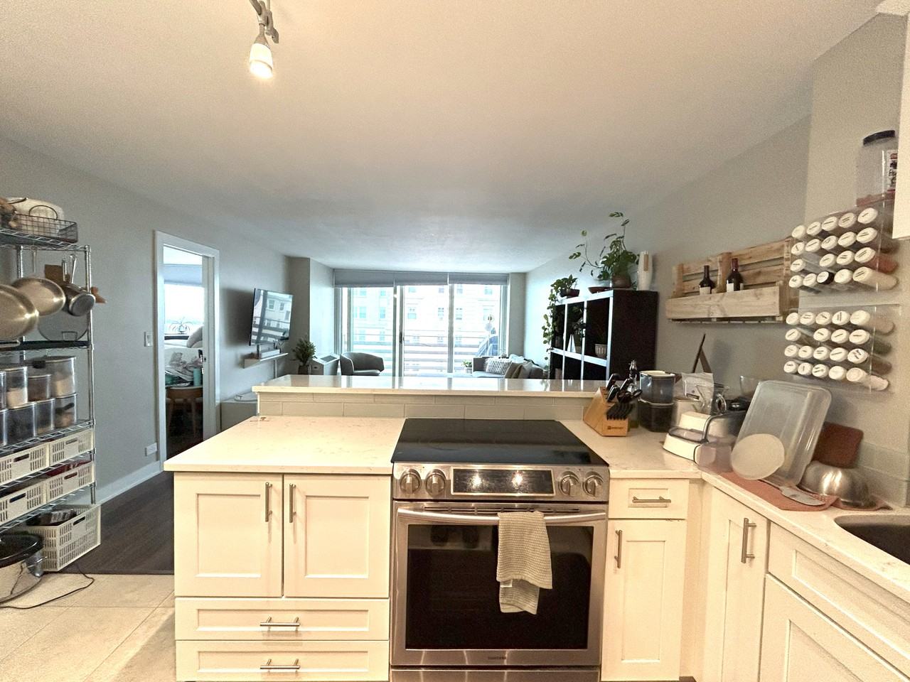 5601 N Sheridan Rd #20B - Photo 3 of 17
