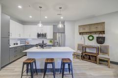 The Walker - Photo 1 of 1