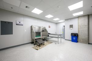 featured image of 3805 Elwood Ave