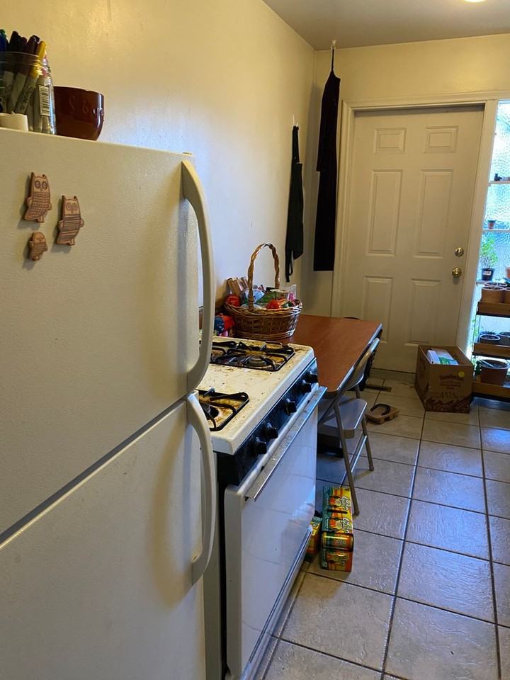 Autumn Apartments - Photo 2 of 15