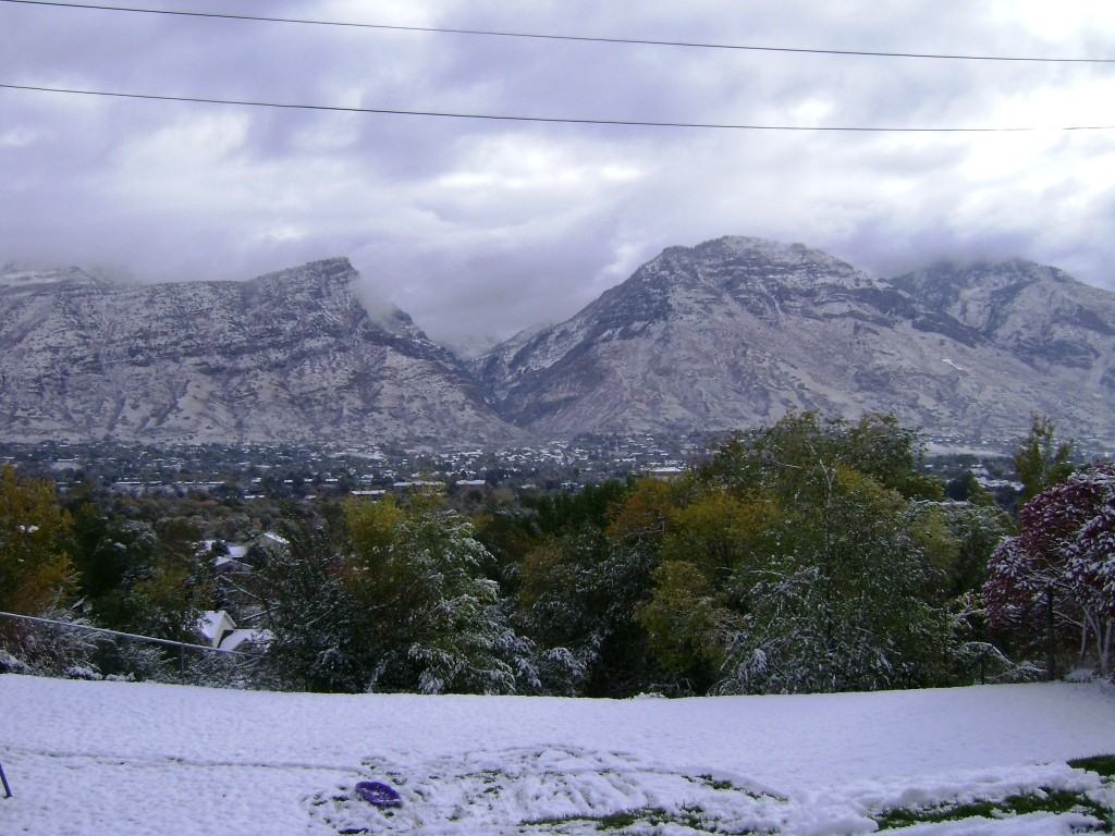 Crestview 1583 S 800 E, Orem, UT 84097 Apartment for Rent PadMapper