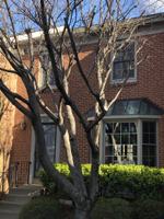 featured image of 2281 Idylwood Station Ln #NA