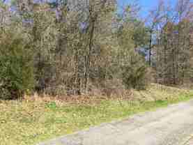 642 Alcovy - Photo 1 of 1