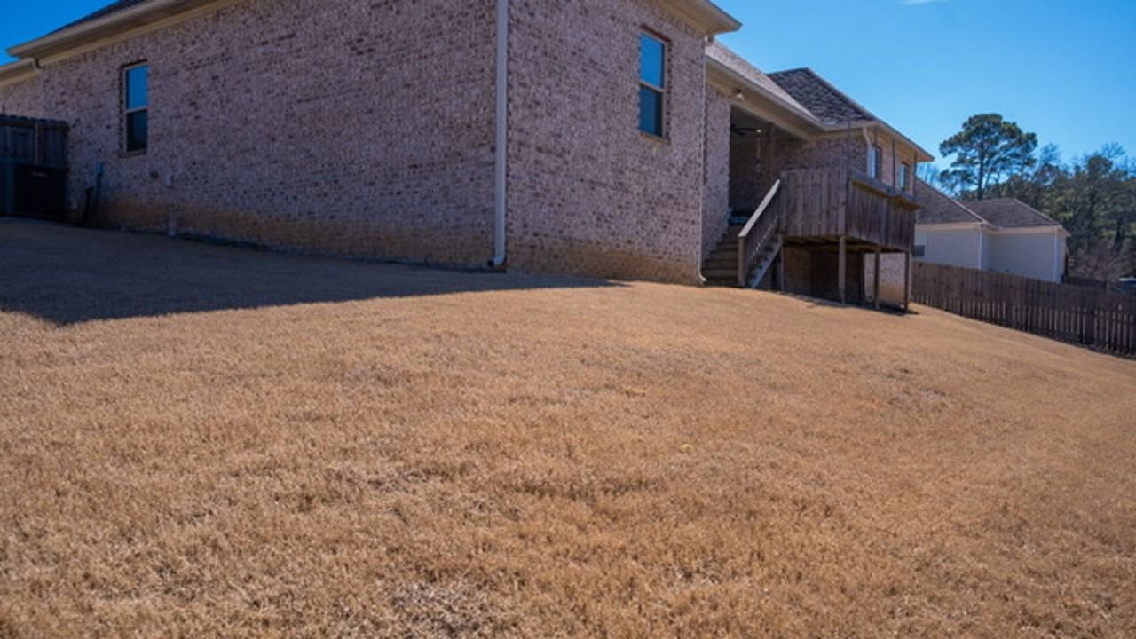3707 Sterling Oaks Dr - Photo 4 of 43
