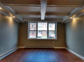 featured image of Adirondack Ln