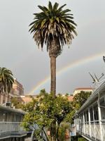 featured image of 1232 15th Street #Q