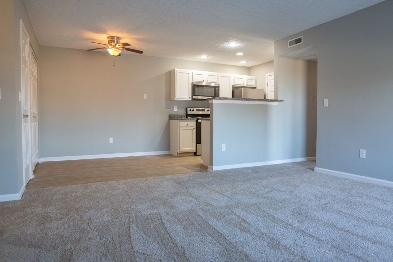 5516 Cedar Spgs - Photo 6 of 21