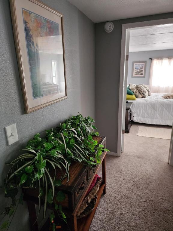 201 Autumn Trl - Photo 3 of 17