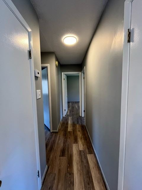 115 Peterson Ter #NA - Photo 3 of 11