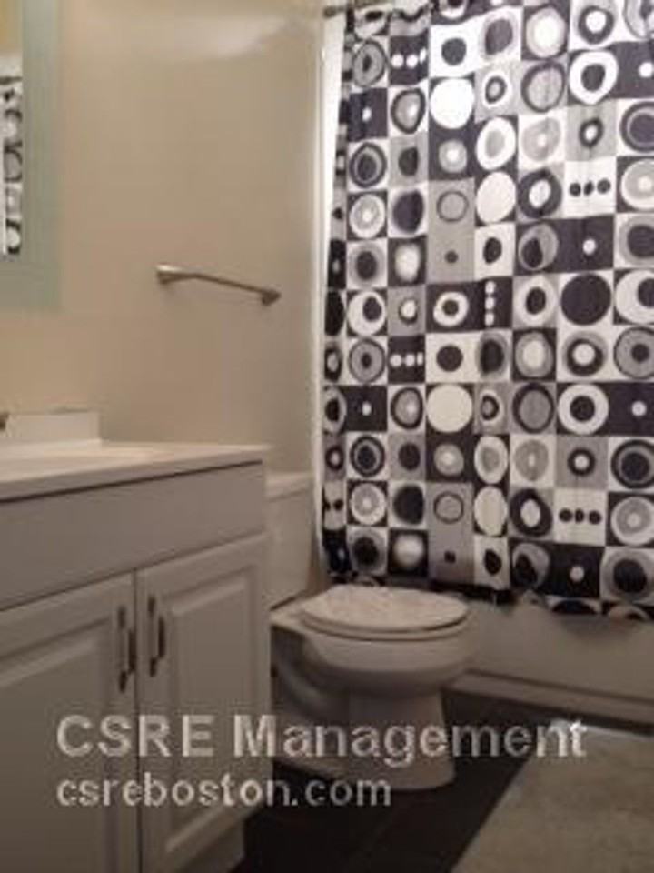 45 Hemenway Street - Photo 7 of 10