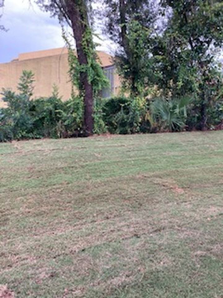 1833 Balboa Ave - Photo 6 of 31