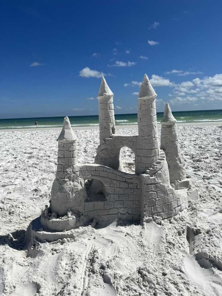 5880 Midnight Pass Rd #204 - Photo 4 of 50