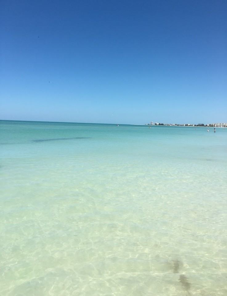 5880 Midnight Pass Rd #204 - Photo 5 of 50