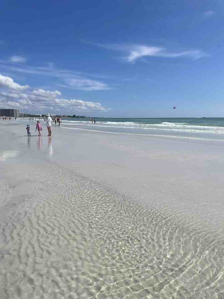 5880 Midnight Pass Rd #204 - Photo 6 of 50