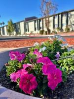 featured image of 3222 West Indian School Road