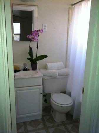 PINE TREE GARDENS - Photo 5 of 6