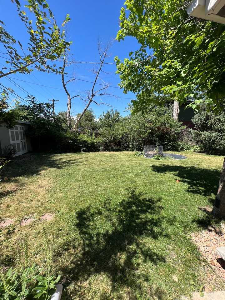 765 Gilpin Dr - Photo 3 of 18