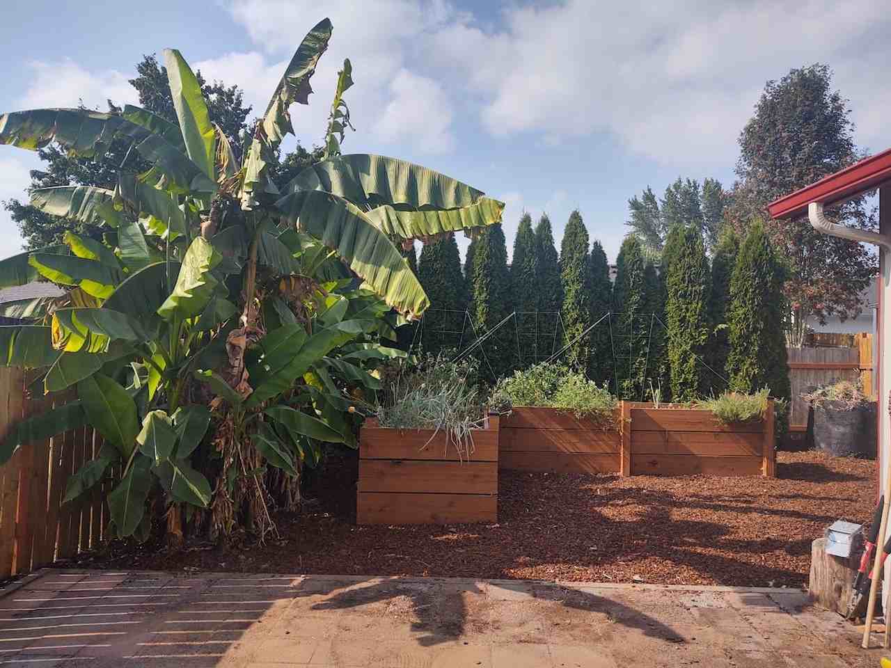 633 N Sunrise Dr - Photo 2 of 11