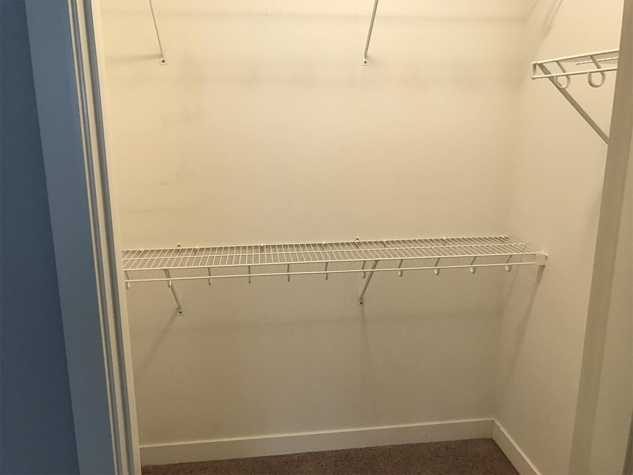 1637 Mccleary Ln #1637-3F - Photo 7 of 19