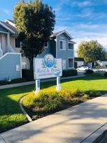 Reed and Brooke Apartments - Photo 1 of 1