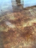 featured image of 1102 College Farm Rd