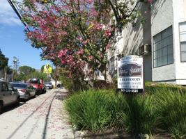 featured image of 10248 Tujunga Canyon Blvd