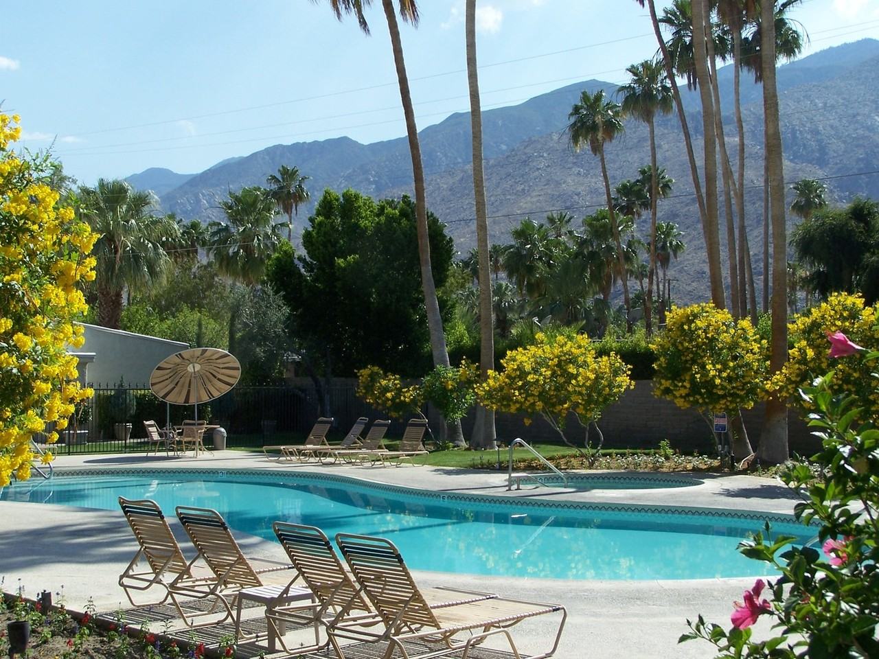 1111 E Ramon Rd - Photo 2 of 24