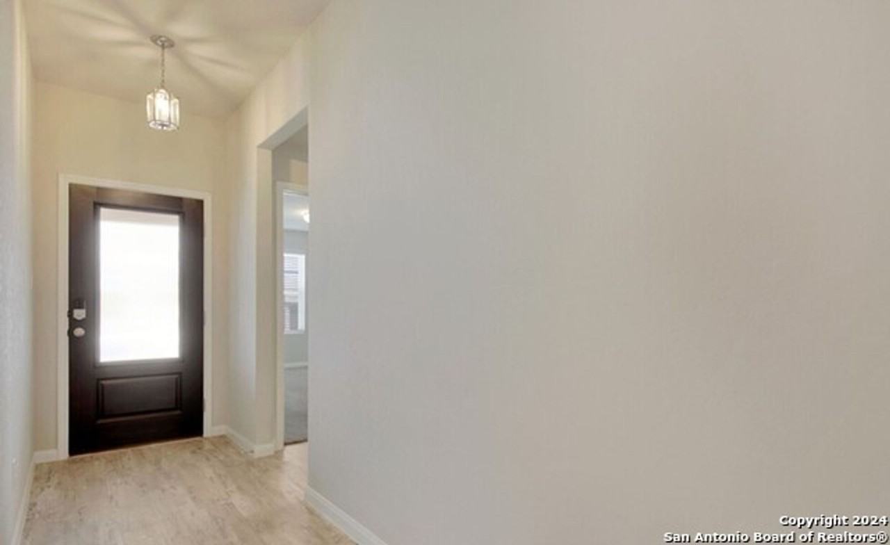 5542 Black Walnut - Photo 3 of 11