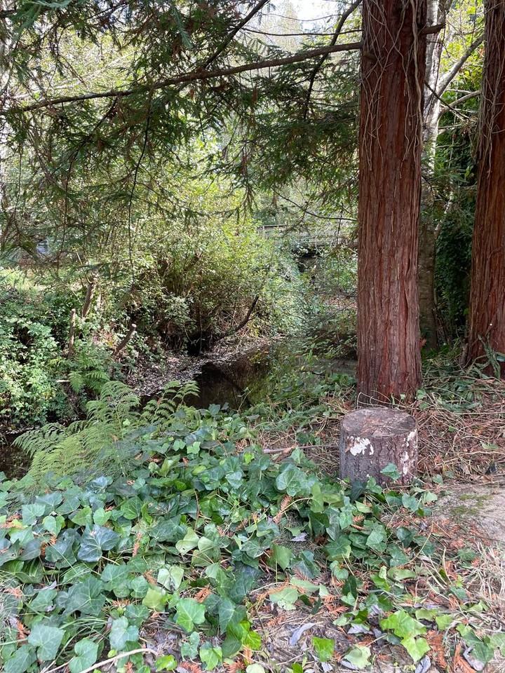 2429 Graham Rd - Photo 2 of 10