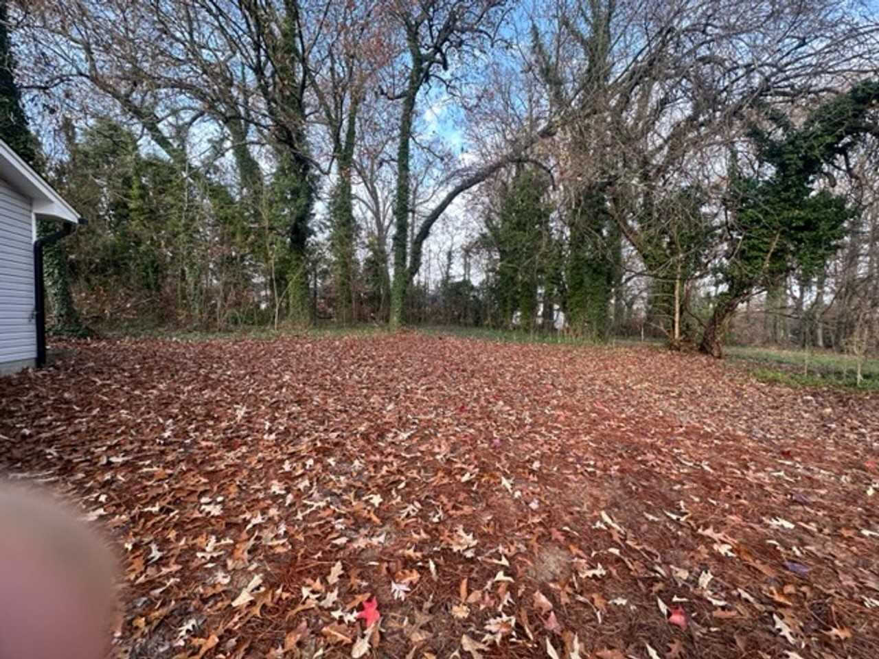 401 Hobson St - Photo 3 of 13