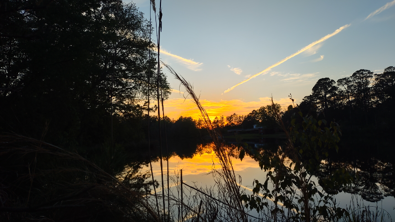 849 Prosperity Dr - Photo 2 of 48