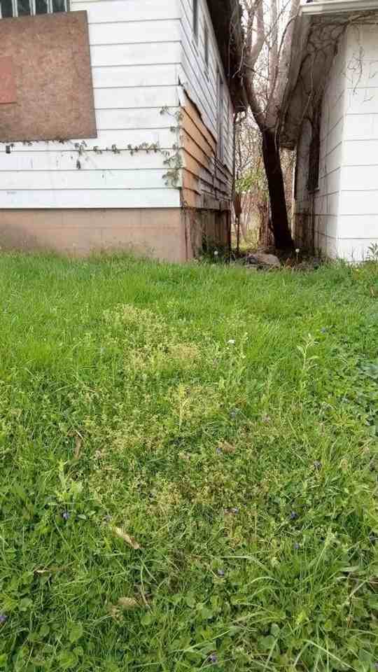 5037 Plover Ave - Photo 2 of 10