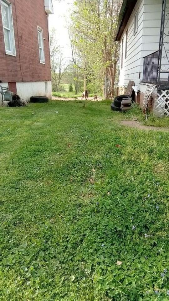 5037 Plover Ave - Photo 3 of 10