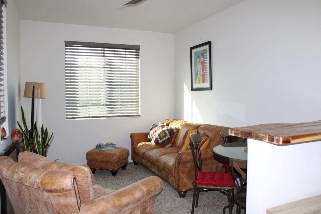 1327 Clasico Dr - Photo 3 of 14