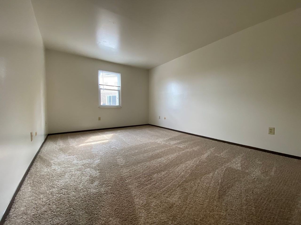 704 Bellwood Dr - Photo 5 of 11