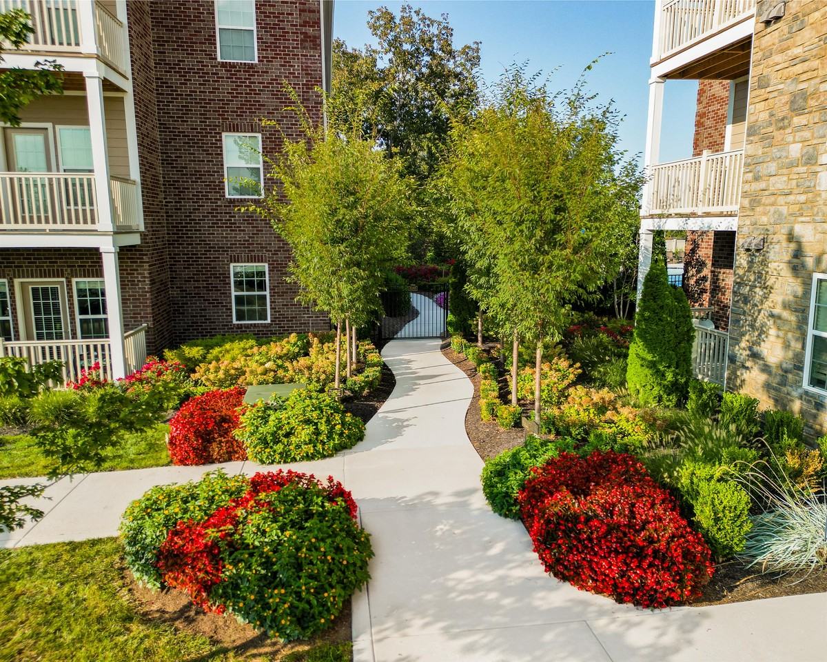 Toshiba Drive #103 - Photo 2 of 8