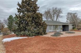 1170 S Holly St - Photo 1 of 1