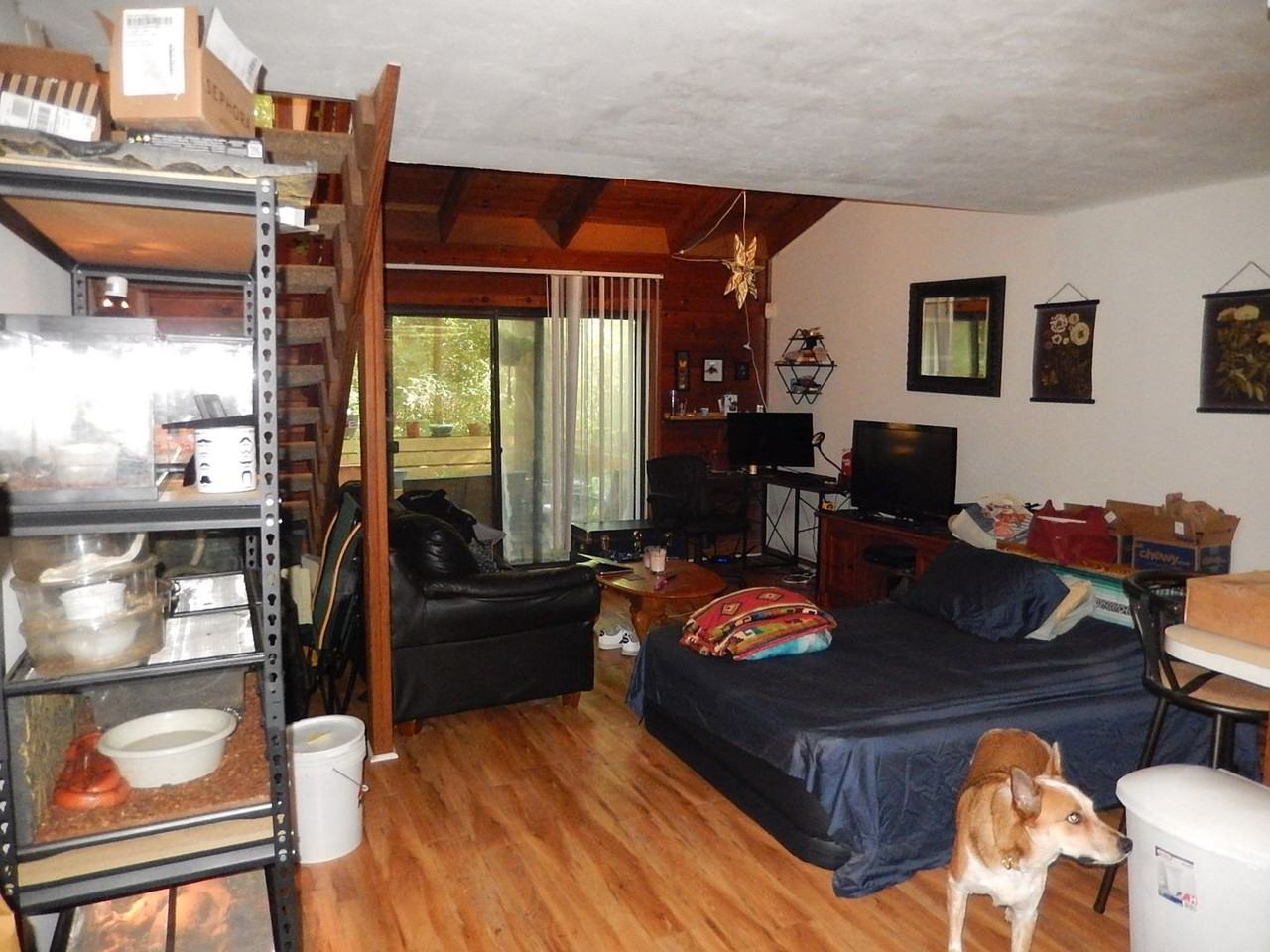 2473 Rumba Ct - Photo 3 of 10