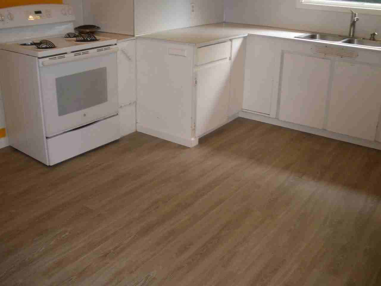 1806 E Prospect St - Photo 7 of 17