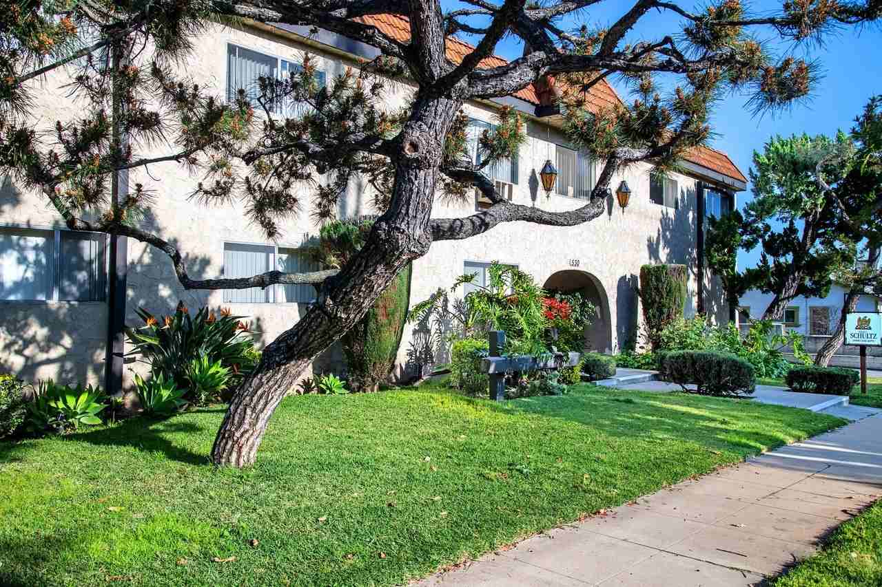 wil530 - Photo 2 of 41