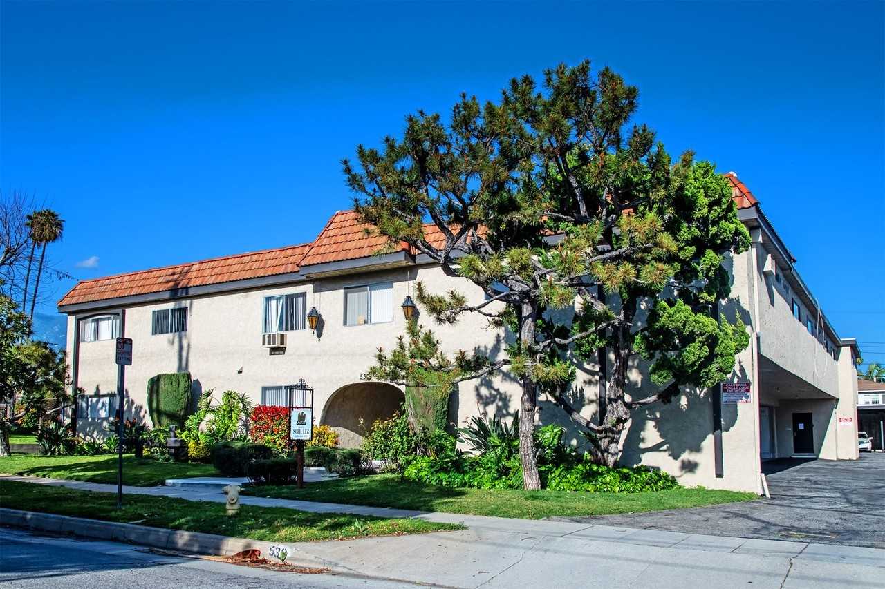 wil530 - Photo 3 of 41