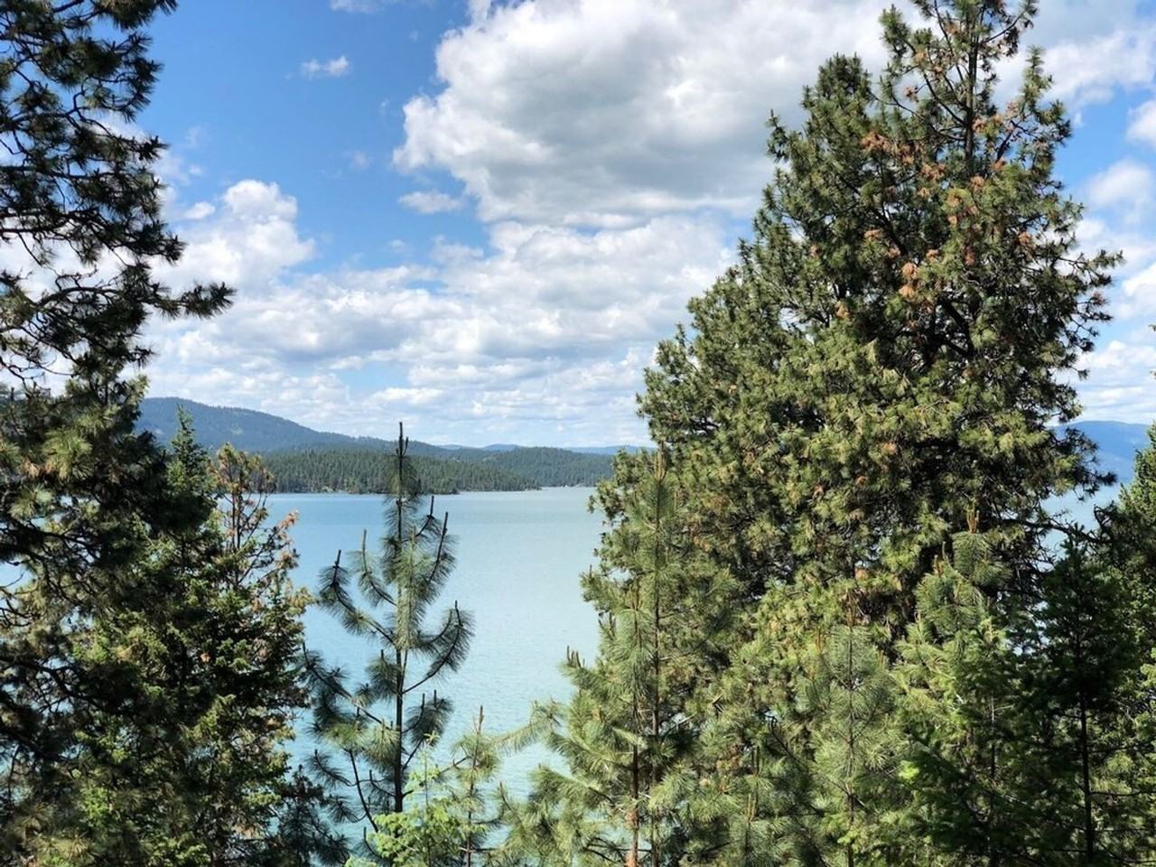 31251 S Finley Point Rd - Photo 3 of 22