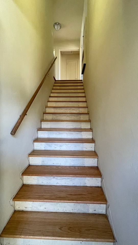 1359 Pearl Street - Photo 2 of 19