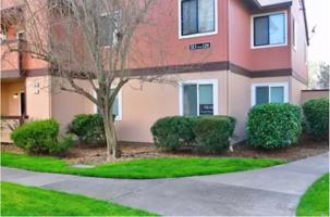 featured image of 8201 Camino Colegio #121