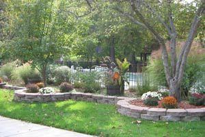 Park Forest - Photo 2 of 8