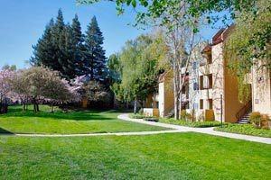 The Meadows - Photo 2 of 17