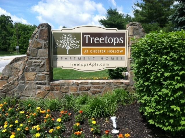 Treetops At Chester Hollow - Photo 3 of 18