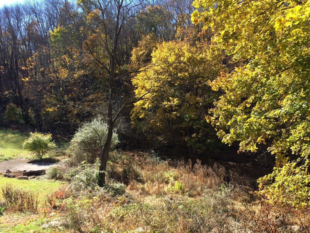 9042 Easton Rd - Photo 4 of 27