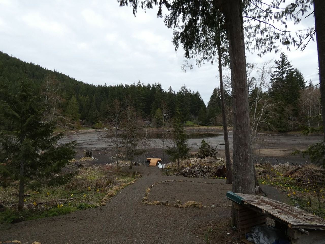 501 Lake Dawn Rd - Photo 4 of 29